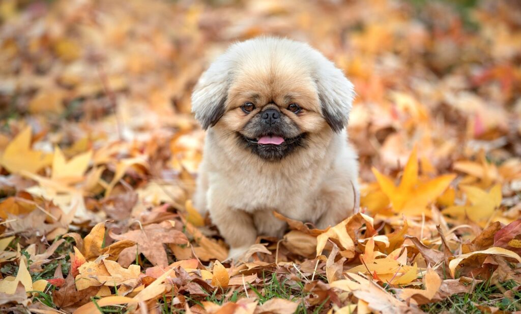 加齢臭を防ぐためのステップケア方法は？