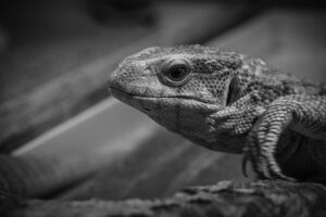 第一印象を良くするためのコツとは？