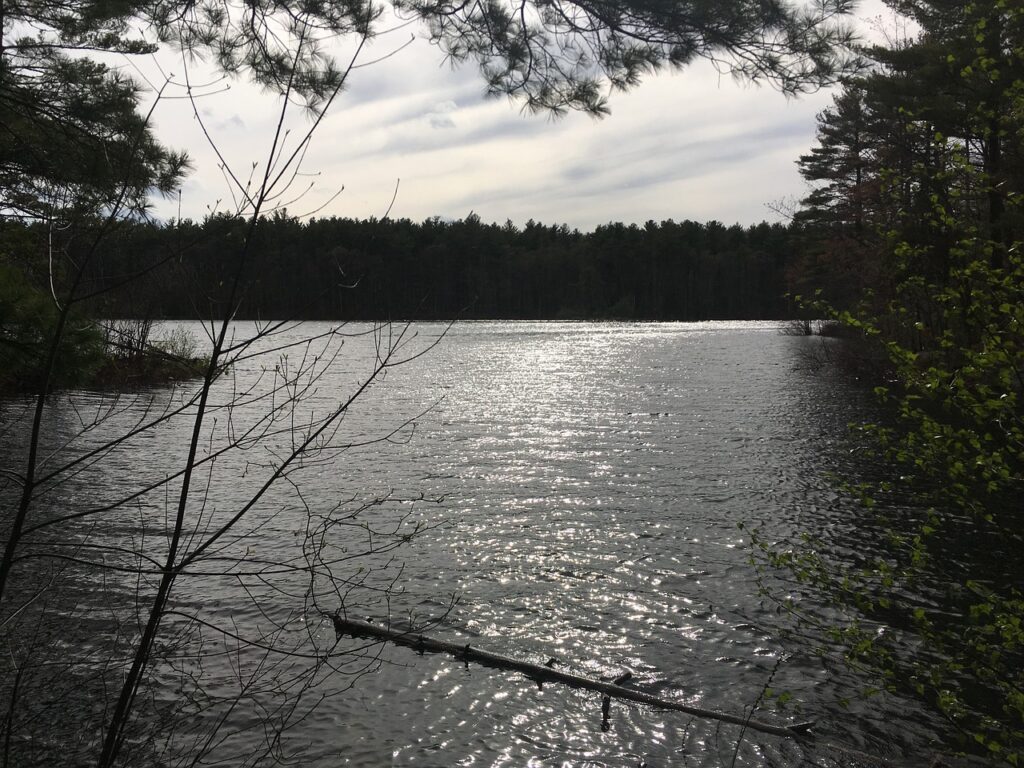 ミドル脂臭を解消する専用シャンプーの効果とは？