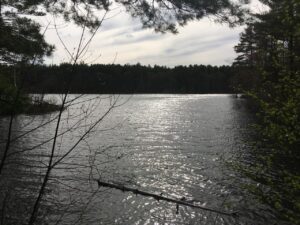 ミドル脂臭を解消する専用シャンプーの効果とは？