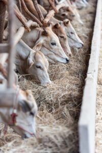 男が香水をつける量の正しい基準とは？