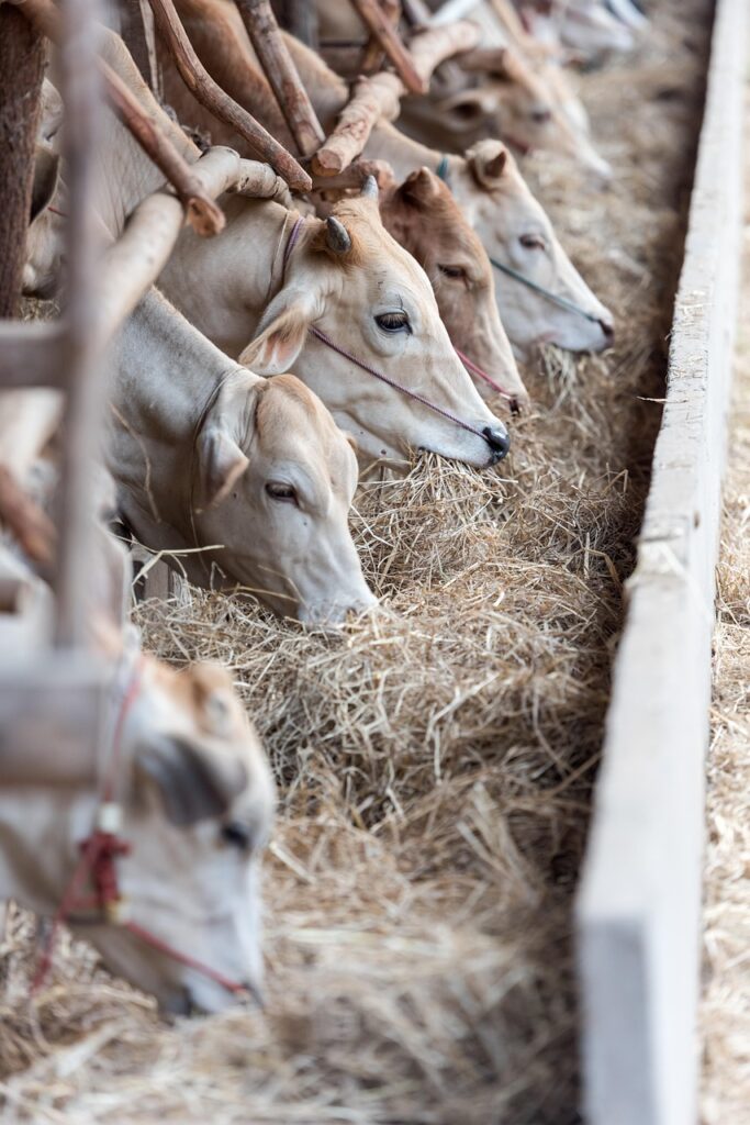 男が香水をつける量の正しい基準とは？
