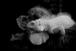 ワキガ対策におすすめのメンズ向けプチプラアイテムは？