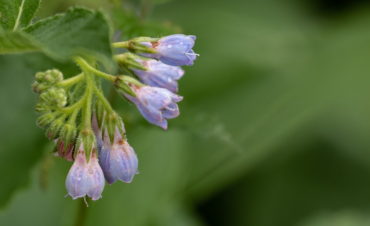 口臭対策に効果的なサプリメントはどれ？