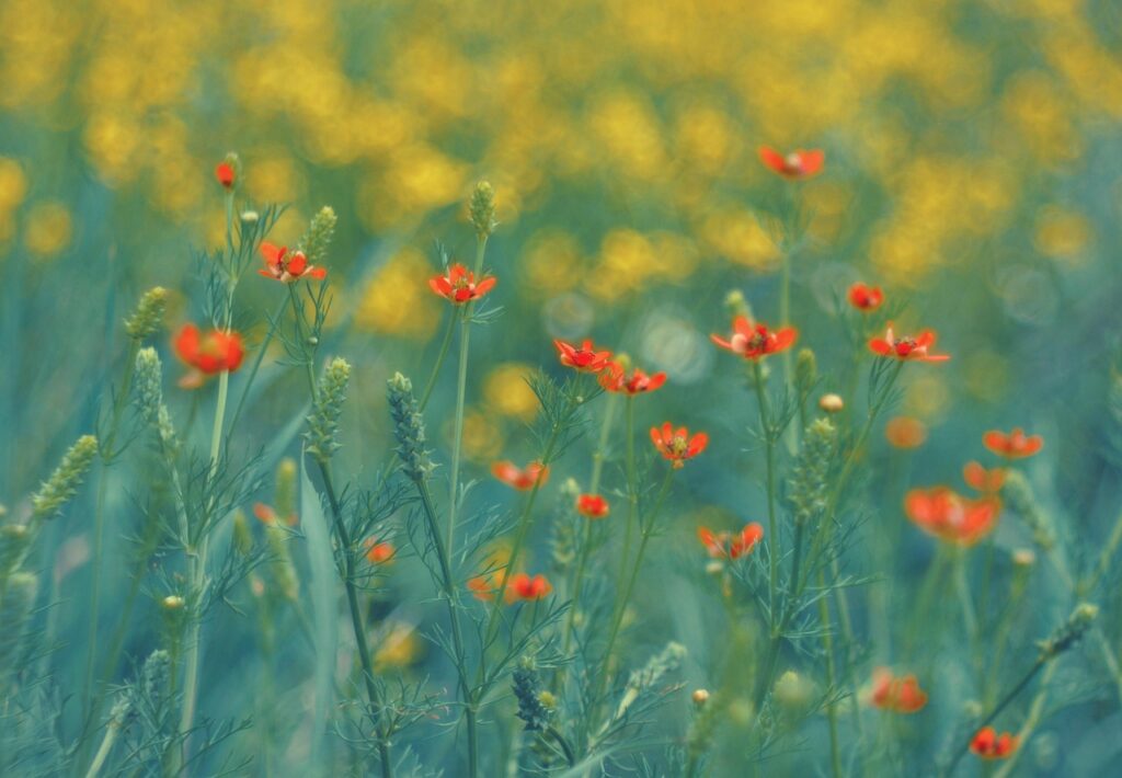 妻に指摘された体臭を改善するための効果的な方法は？