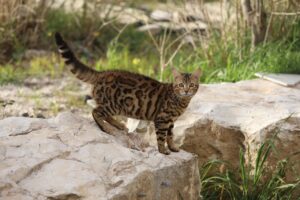 男の香水を失敗しない付け方とは？