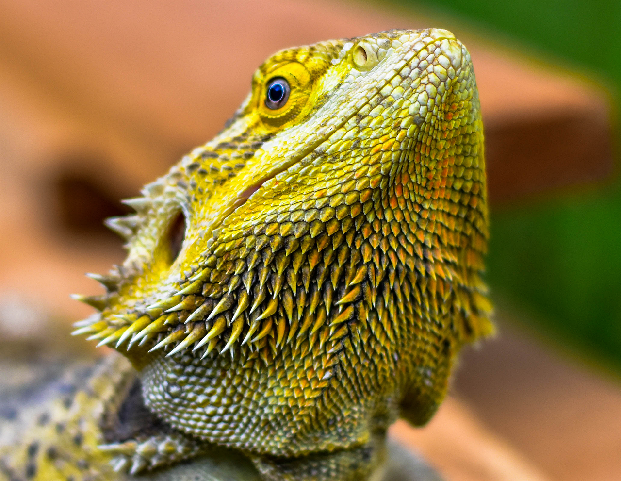 ヒゲ処理の方法で清潔感を保つにはどうすればいい？