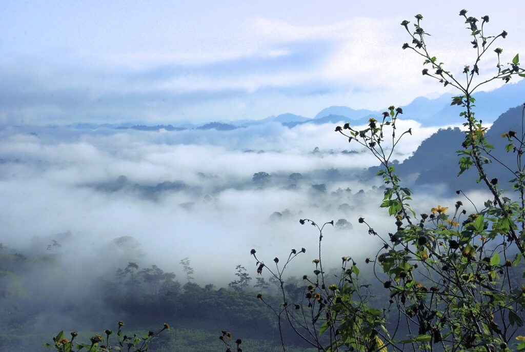汗をかき多い人のための効果的な対策は？