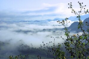 汗をかき多い人のための効果的な対策は？