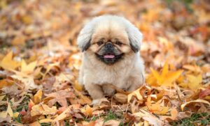 体臭を気にする人におすすめの柔軟剤は？