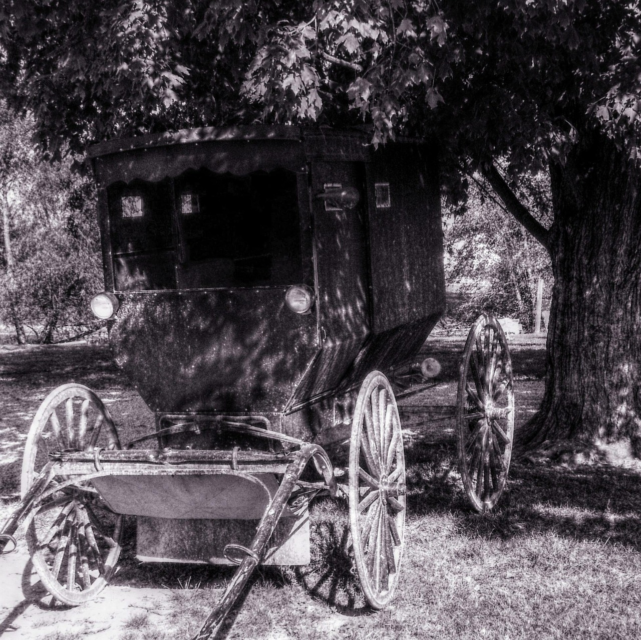 香水を使わない体臭対策にはどんな方法がある？