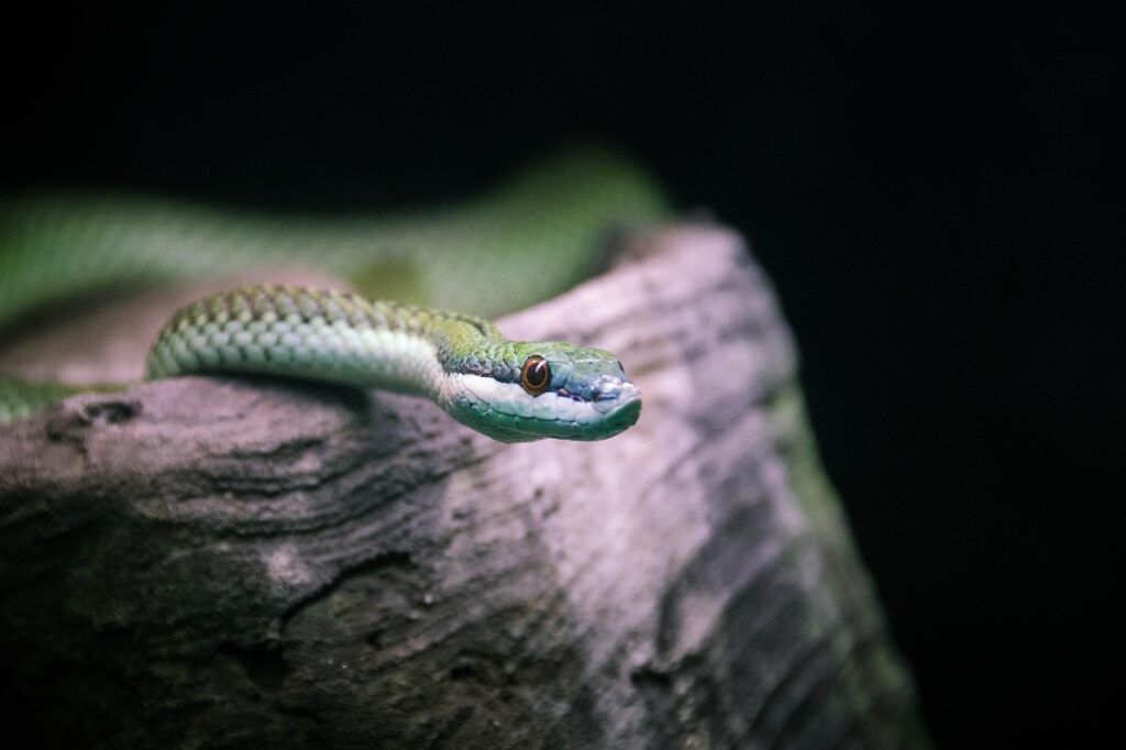 加齢臭は何歳から男性に現れるのか？