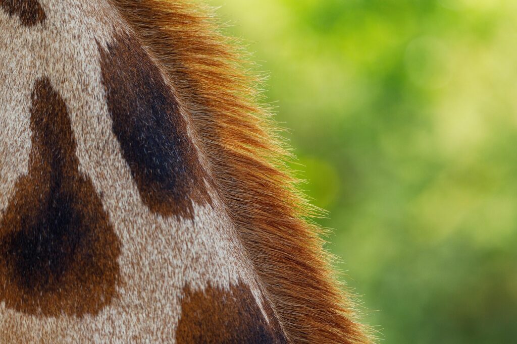 彼女に匂いを褒められる方法は何ですか？