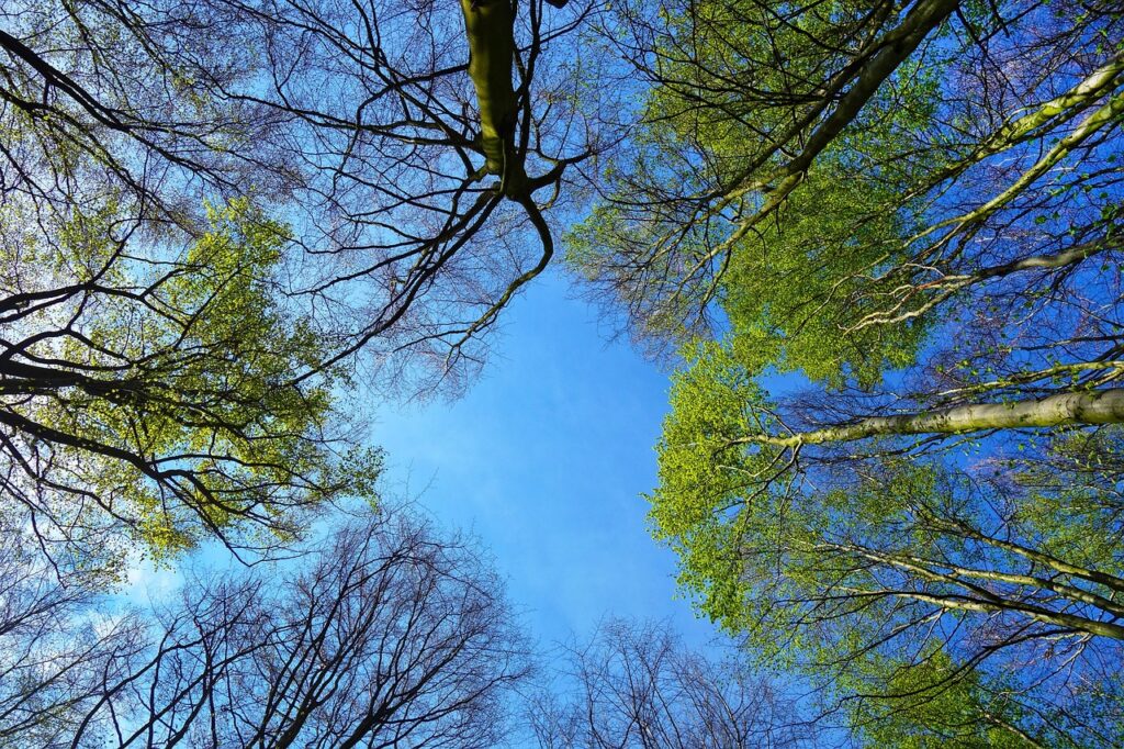 ミョウバンの体臭に対する効果は本当にあるのか？